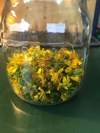 Gesammelte Johanniskraut-Blüten